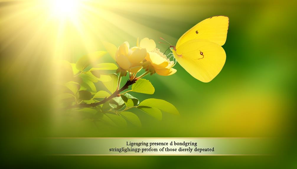 deepening bonds from afar