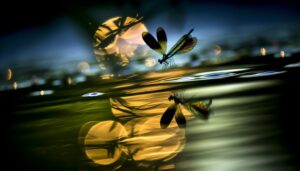 dragonfly symbolizes transformation and adaptability