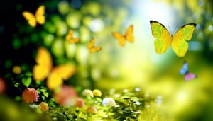 significance of yellow butterflies