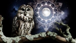 symbolism of the wise