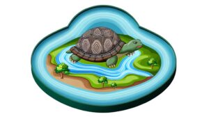 symbolism of turtle shell